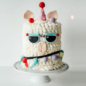 Special Occassion cakes - llama Cake